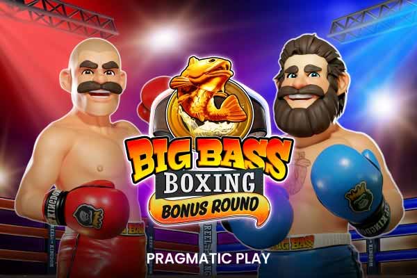 bid bass boxing